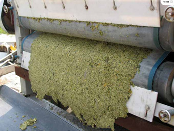 帶式壓濾機處理龍華黑臭水體整治項目